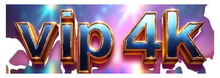 vip4k logo